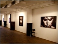 2008 art exhibitions