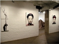 2008 art exhibitions