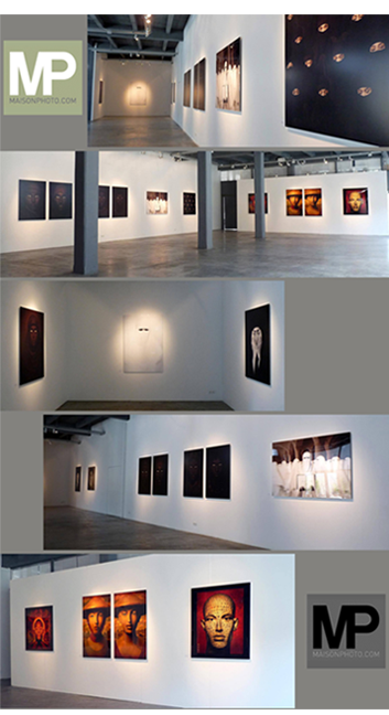 2015 art exhibitions